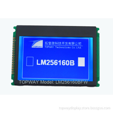 COG Type LCD Module LM256160B